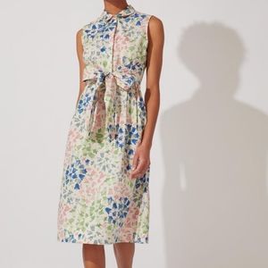 Cath Kidston Painted Bluebell Shirt Dress